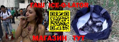 гашик Кингисепп