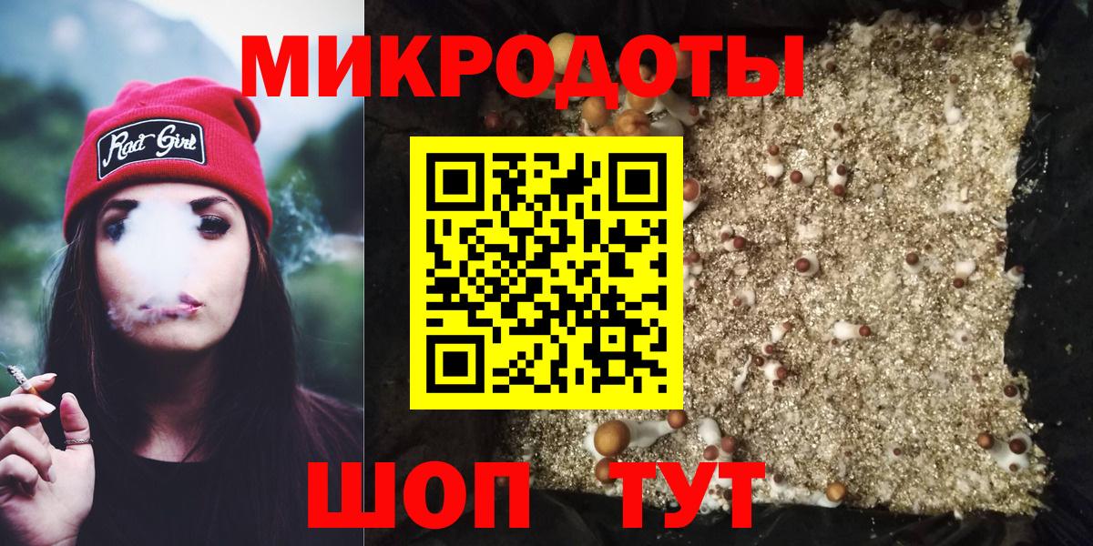 Псилоцибиновые грибы Psilocybine cubensis Котлас