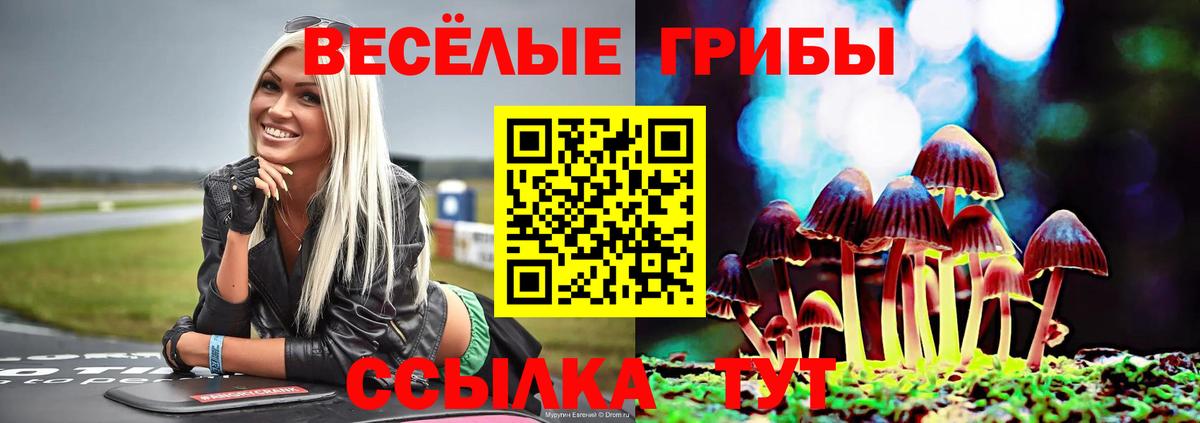 Галлюциногенные грибы мухоморы  Вход с VPN  Котлас 